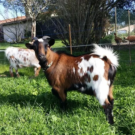 Le Du Gueurlet * Boresse-et-Martron