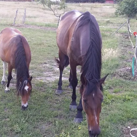 Le Du Gueurlet * Boresse-et-Martron