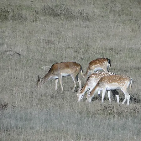 Le Du Gueurlet * Boresse-et-Martron