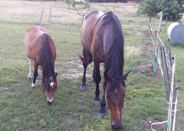 Le Du Gueurlet * Boresse-et-Martron