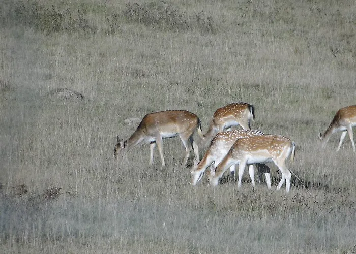 Le Du Gueurlet * Boresse-et-Martron